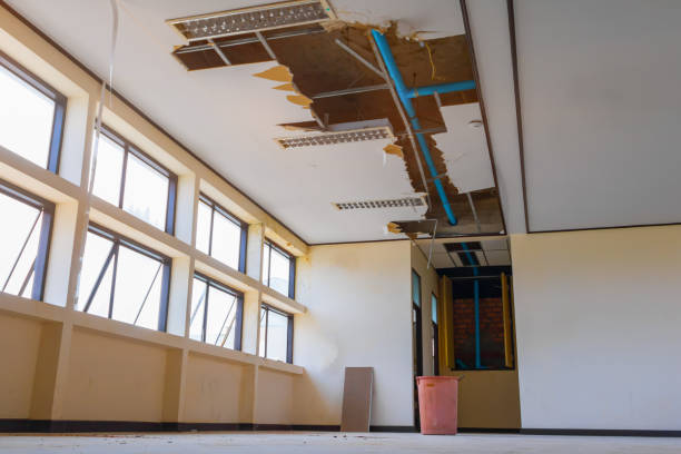 Best Local water damage restoration  in Sun Prairie, MT