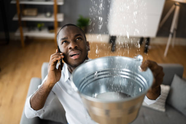 Best Basement water damage restoration  in Sun Prairie, MT