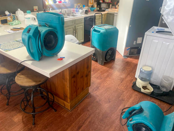 Trusted Sun Prairie, MT Water damage restoration Experts