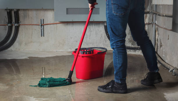 Best Water damage contractors near me  in Sun Prairie, MT