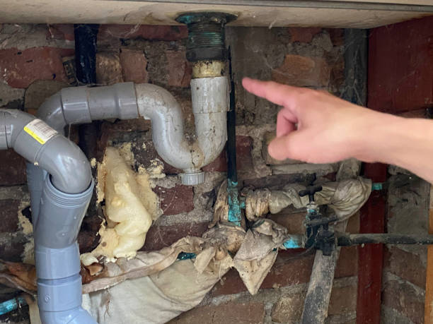 Best Local water damage restoration  in Sun Prairie, MT