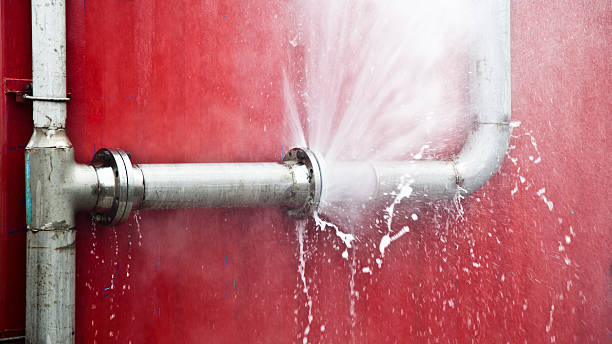 Best Water damage cleanup near me  in Sun Prairie, MT